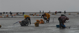 la peche pour les amateur sur noirmoutier